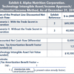 Amortization