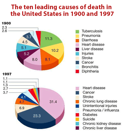 burden rate