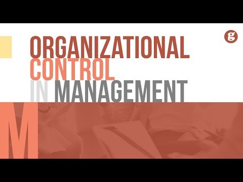 internal controls accounting, audits, consulting & fraud prevention